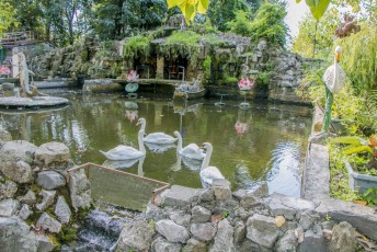Iran Rasht Bird Garden